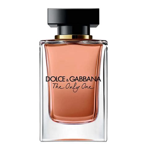 dolce & gabbana vs gucci|women dolce.